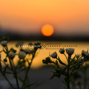 我要收看中国少妇黄包片视频
