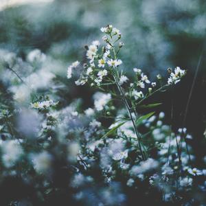 我要收看中国少妇黄包片视频
